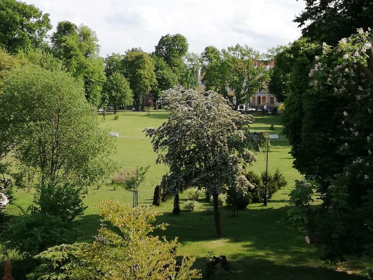 Gdynia Orlowo Honey Apartment المظهر الخارجي الصورة